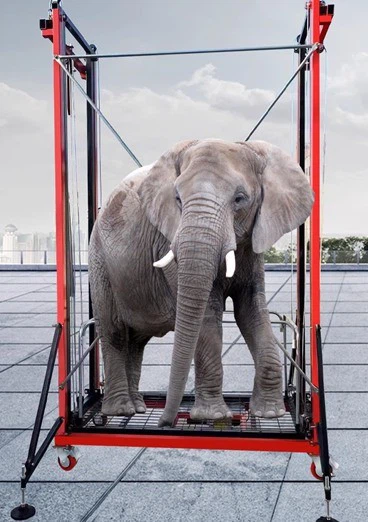 electric-lifting-scaffold electric-lifting-scaffold